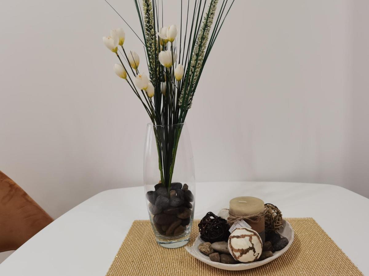 Igman Apartments 蒂瓦特 外观 照片